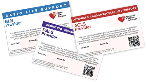 ACLS BLS PALS certifications online